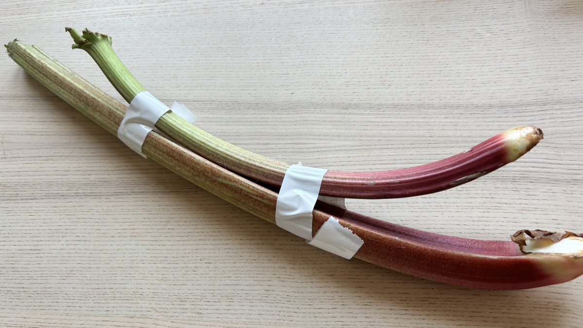 Jablko🍎のチェコ生活🇨🇿 tweet media