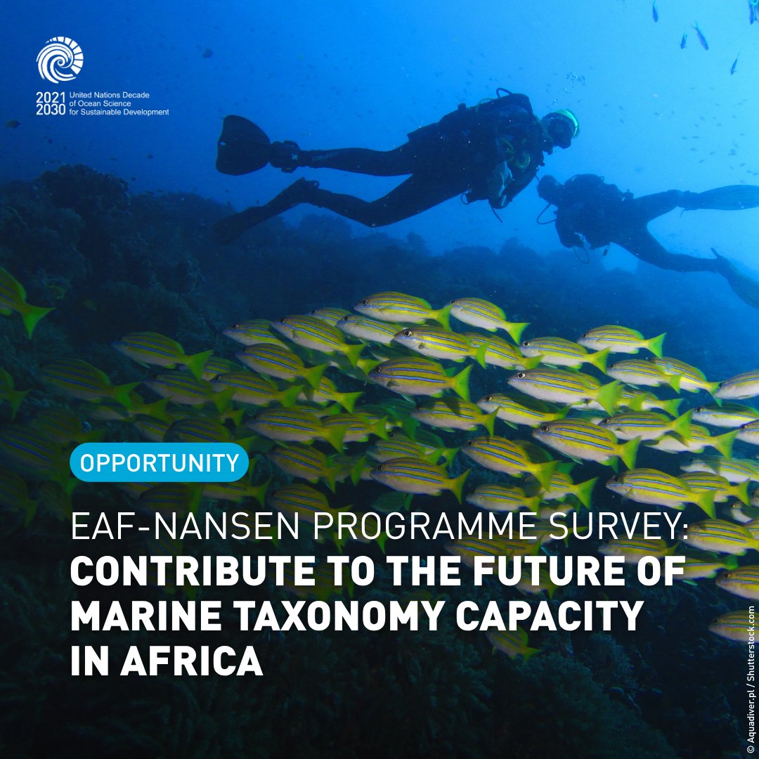 UNOceanDecade's tweet photo. Calling all ocean experts in Africa! 

Contribute to the @FAO EAF-Nansen Programme Taxonomy Survey 2026 to share your perspectives and identify key gaps, challenges and needs in marine taxonomy research and capacity development across Africa.

🔗https://t.co/ttSgSIZUZu https://t.co/AHk3yC8WXF