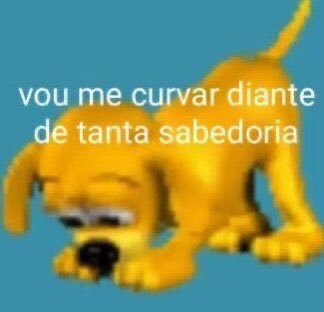tchuco tweet media