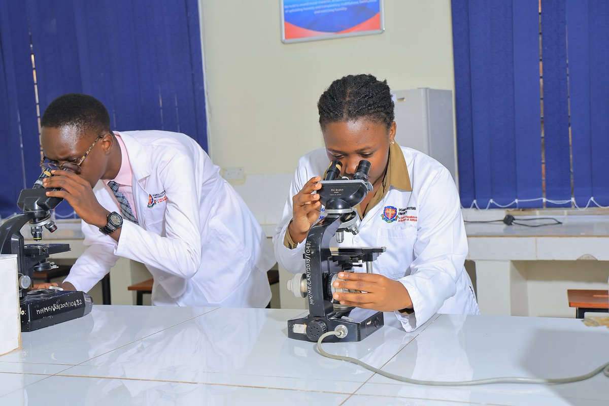 UCU Academic Affairs tweet media