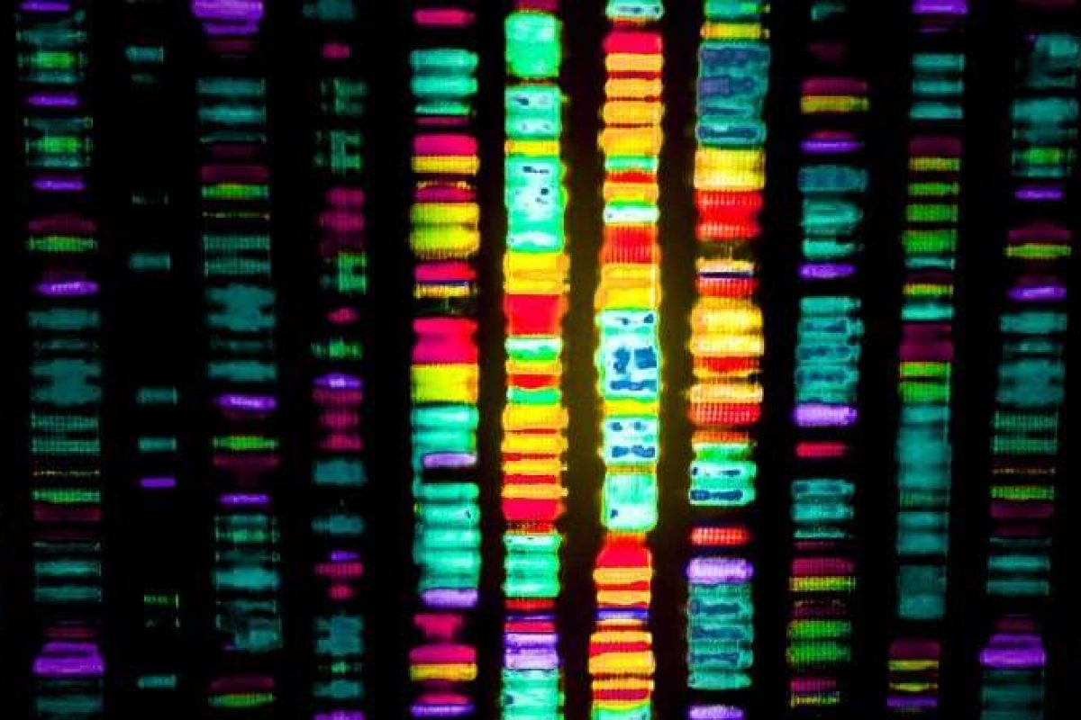 Drug Discovery World tweet media