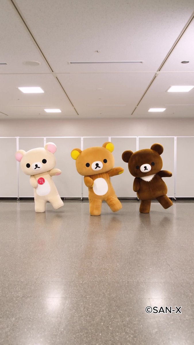 サンエックス【公式】 tweet media