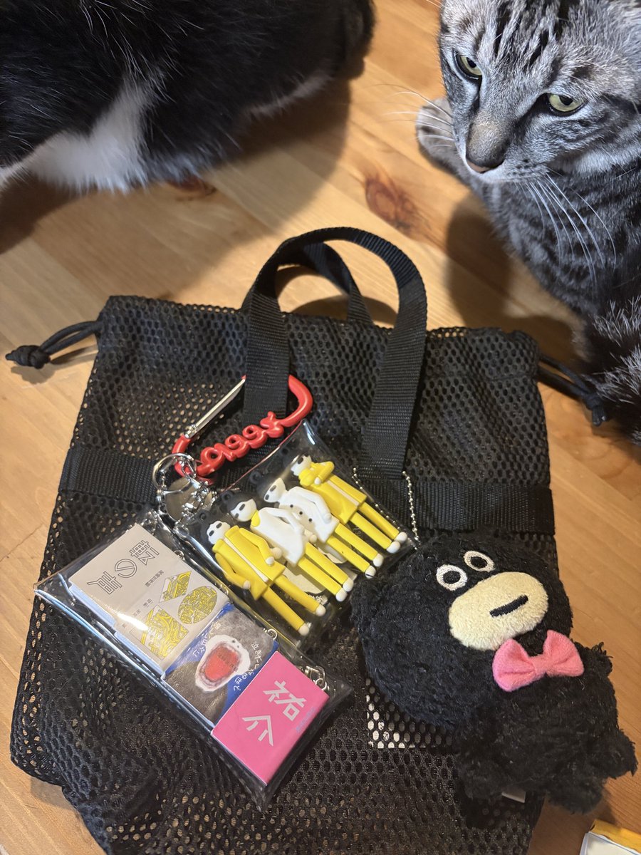 taopanda5997's tweet photo. 巷で話題の無印メッシュ巾着でイタバ完成✨🌰紐は100均になかったからAmazonで注文中。これでクリープLive参戦するぞ🥹 https://t.co/Avh3MicaTz