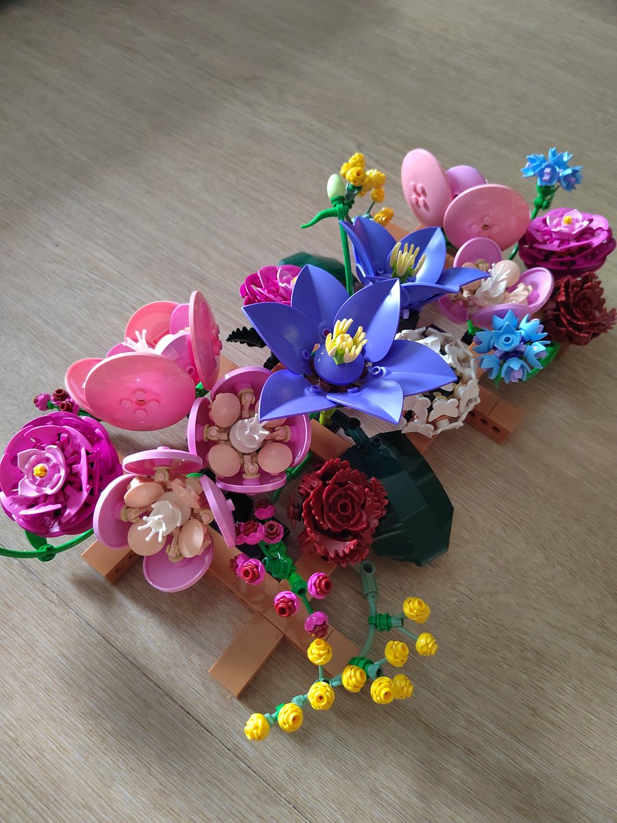 🌸 𝑫𝒐𝒖𝒄𝒆 𝑳𝒚𝒕𝒂 🌸 tweet media