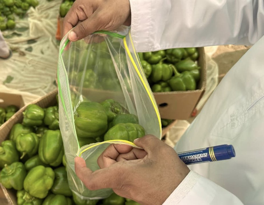 الثروة الزراعية والسمكيةوموارد المياه جنوب الباطنة tweet media