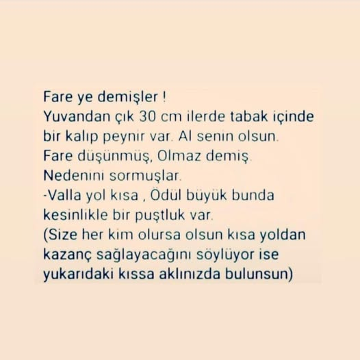 TARIK tweet media