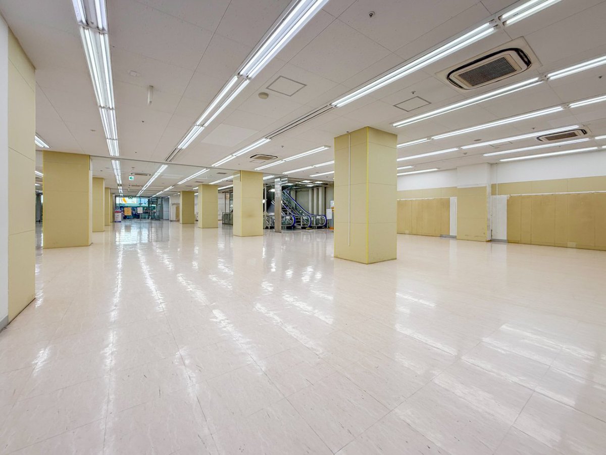 ブルータス・光秀 tweet media