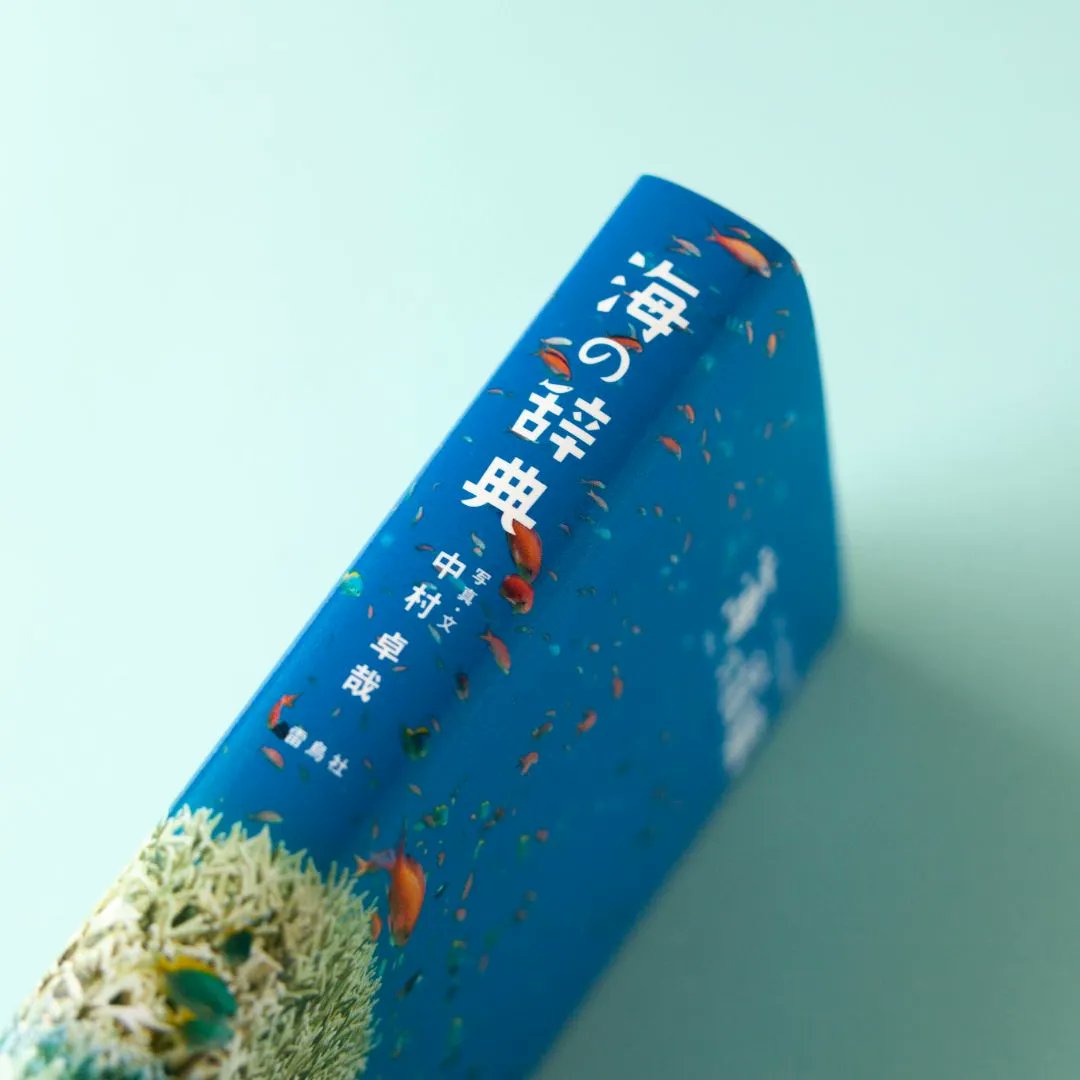 海で使ってました毎回冷水にて洗浄してるので綺麗だと思います。 海をまもる洗剤｜ライフダイレクト公式通販サイト