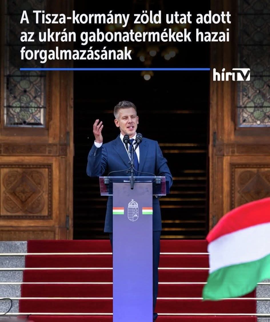 Bede Zsolt tweet media
