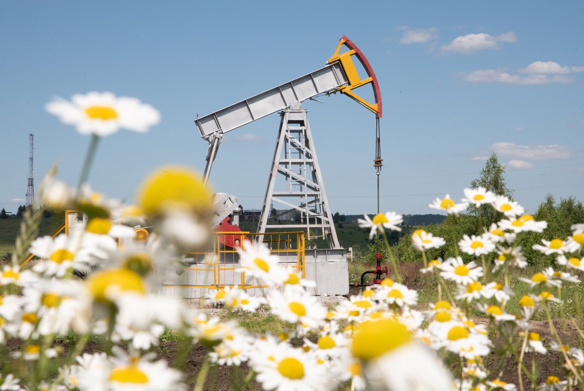 AA Energy tweet media