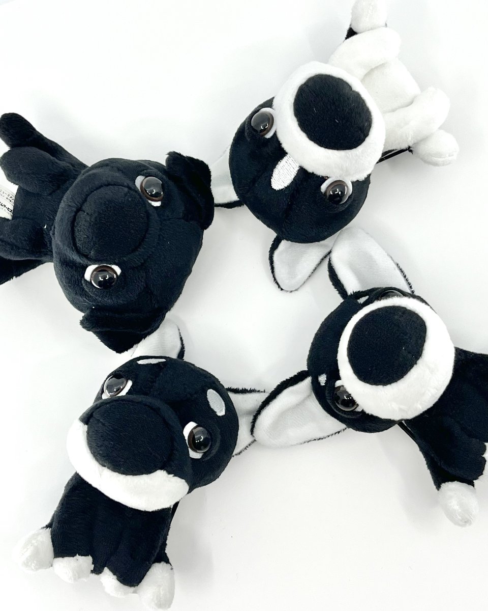 THE DOG and Friends【公式】 tweet media