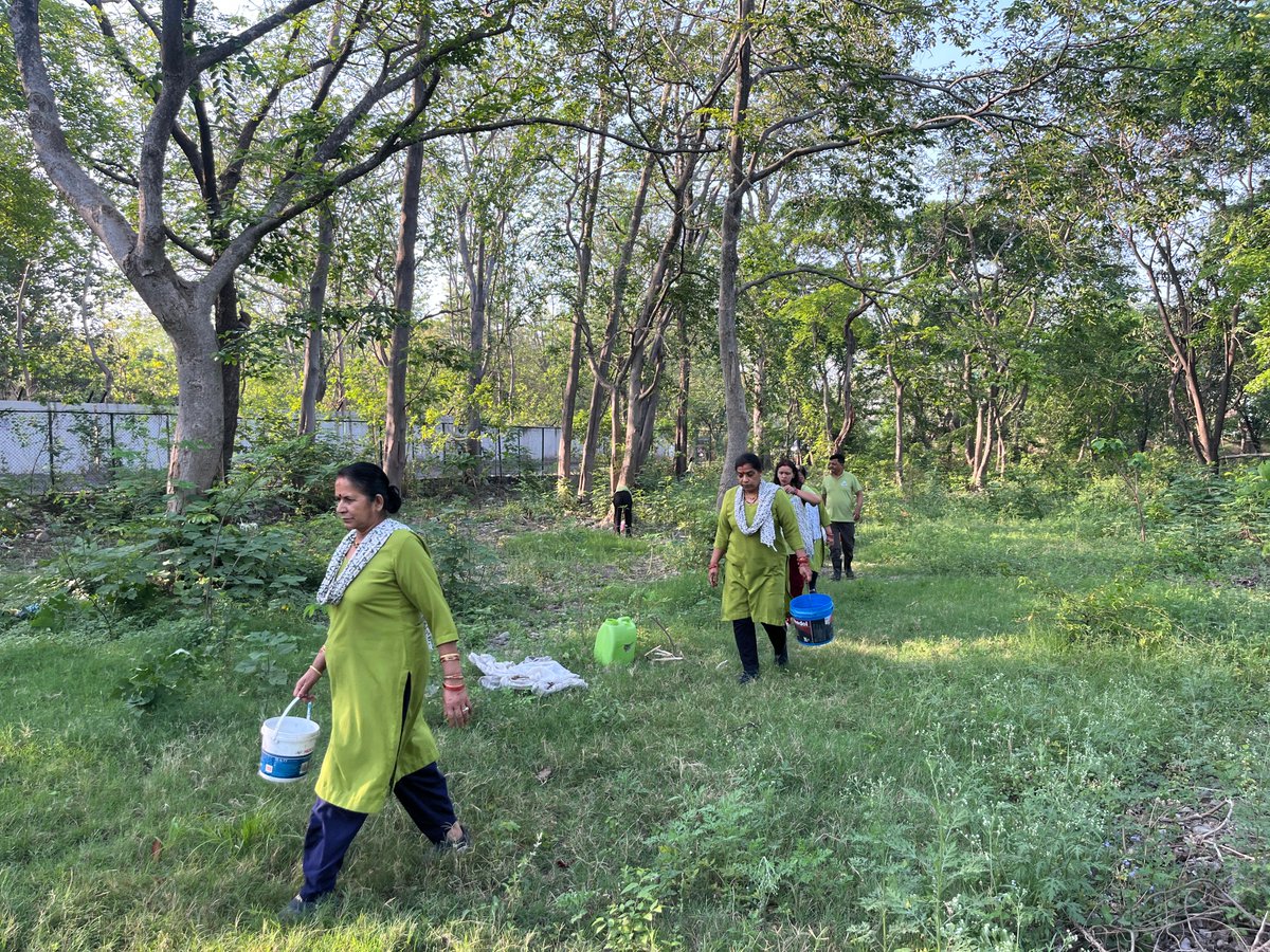 ex_eco's tweet photo. EcoEx Foundation &amp; Go Clean Go Green conducted a Water Pouring Drive at Rudraksh Vatika, Haldwani, supporting plantation care and ecosystem restoration.

4,000+ plants nurtured over 3 years are now growing into a thriving green ecosystem.

#EcoExFoundation #NatureRestoration https://t.co/UErlcsLFWu