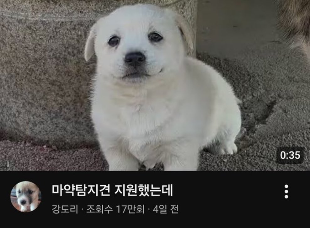 nogic (상태: X됨) tweet media