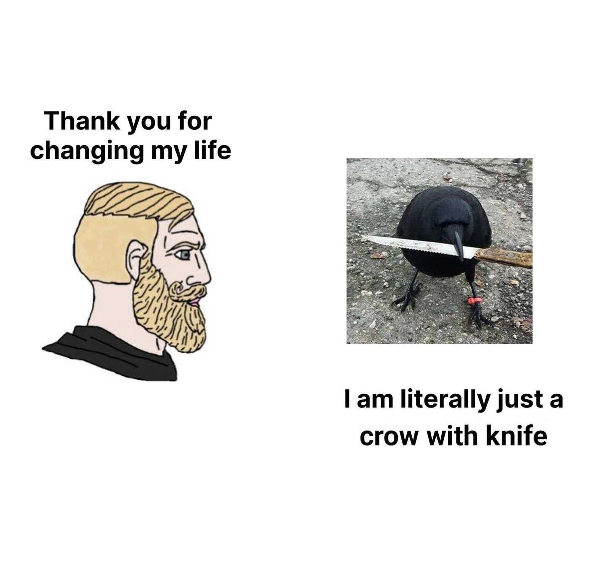 mightymightyH's tweet photo. @Lhzzr @Badlolo198191 wtf is crow with knife, caw caw caw https://t.co/bYNxJIqnFL