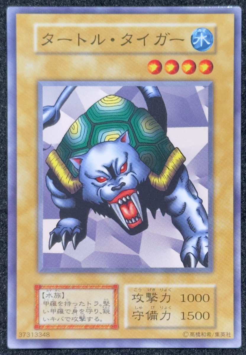 VALUABLE CARD TOKYO 4F💎入荷情報📢】 ／ 🆕【初期】タートル