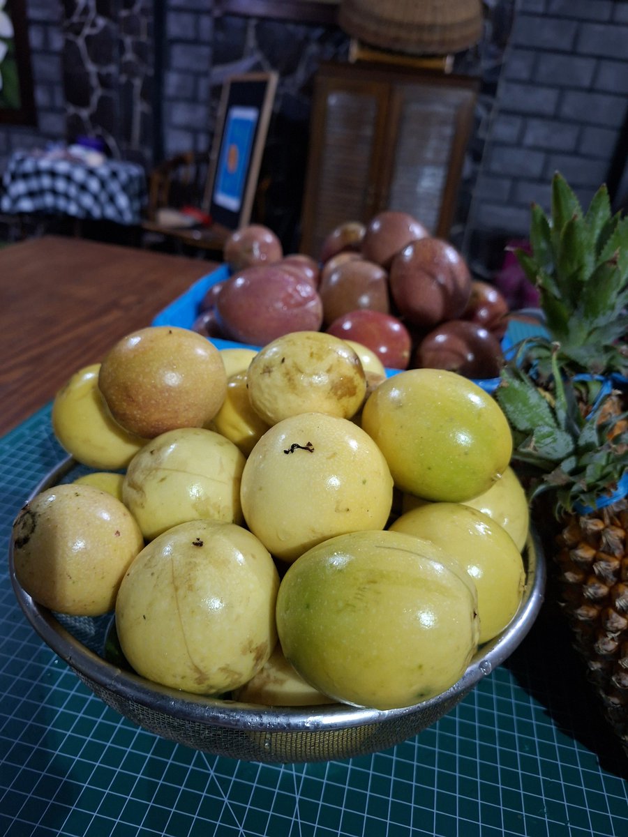 𝐆𝐏 🍉 tweet media