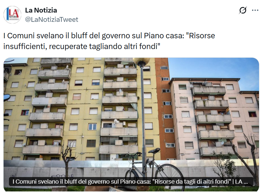 Lucillola tweet media