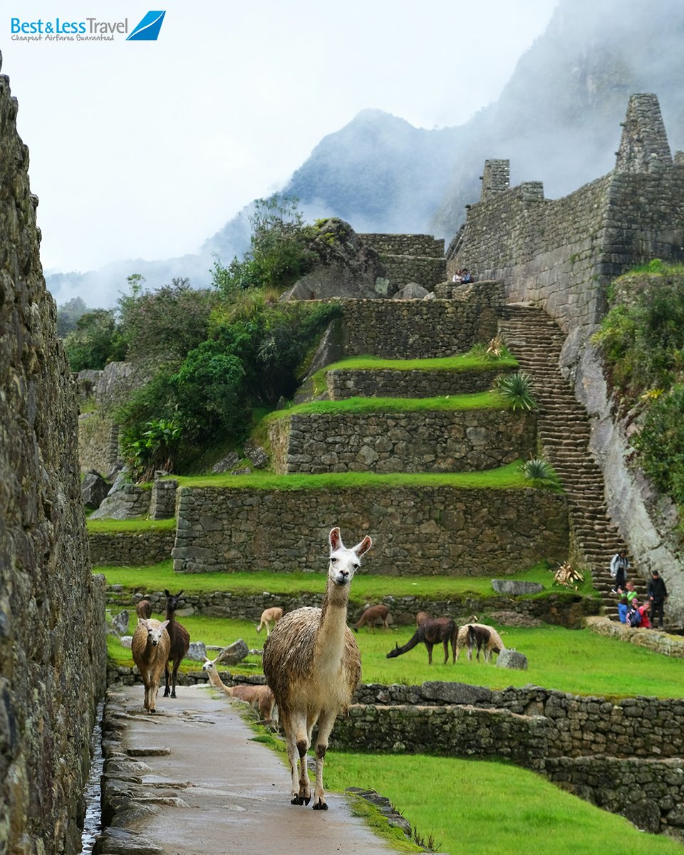 bestnlesstravel's tweet photo. Lost in the magic of ancient ruins and mountain mist π¦β¨ Where history meets adventure at Machu Picchu.
#MachuPicchu #PeruTravel #Wanderlust #BucketList #TravelGoals #AncientRuins #LlamaLove #NatureAndHistory https://t.co/SYi8L7OHsa