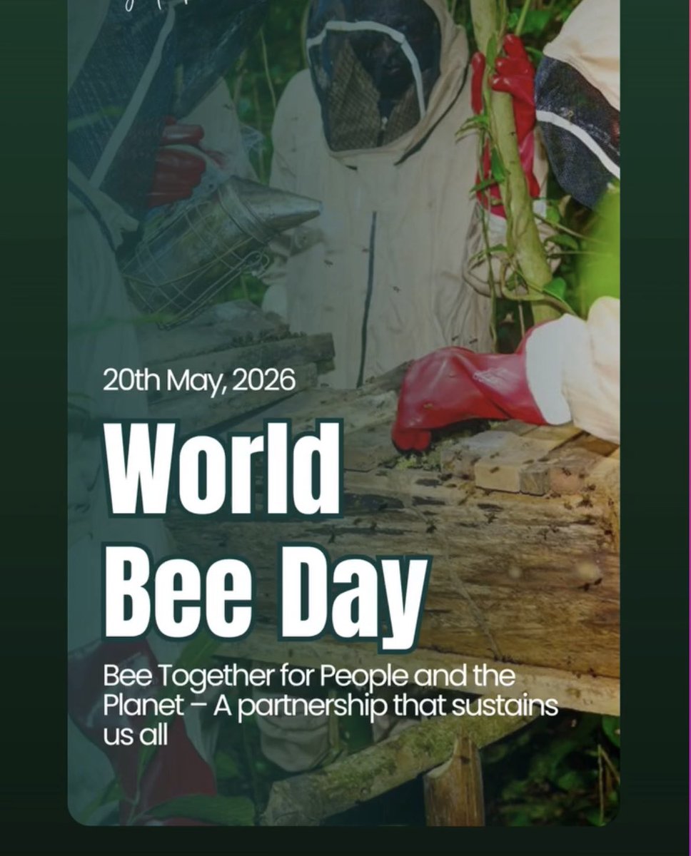 munansiGI's tweet photo. 🐝🌍 Happy #WorldBeeDay 
Bees are essential pollinators that support biodiversity, food security, and healthy ecosystems. Through #MunansiHives, we empower communities with sustainable beekeeping, conservation, and green livelihoods. 🌱🍯
When bees thrive, communities thrive. 💛 https://t.co/Fet8pZvs15