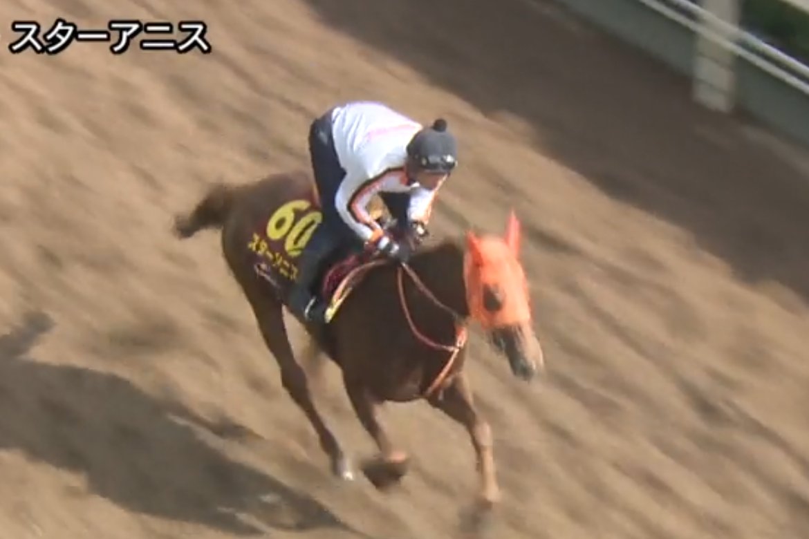 JRA VAN限定 エフフォーリア レーシングパネル JRA VAN Ver.World10周年記念キャンペーン】海外レースver.の限定