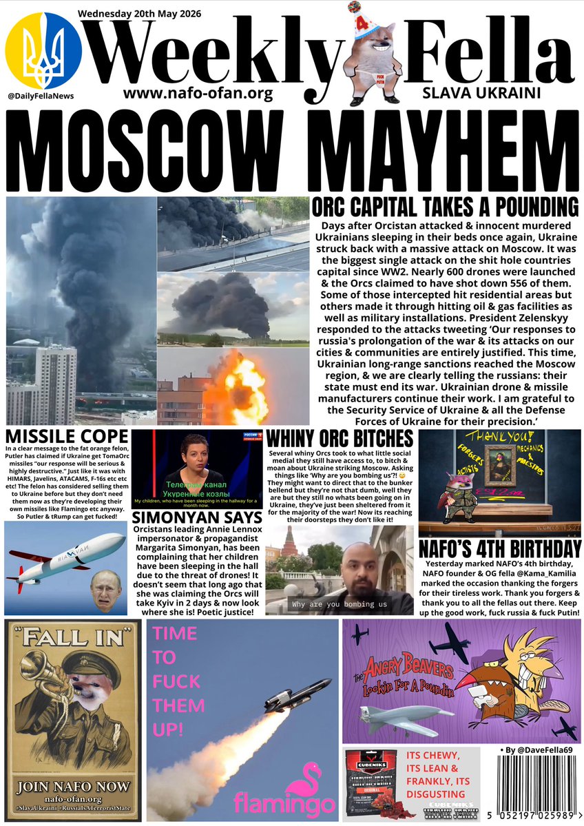 DAILY FELLA tweet media