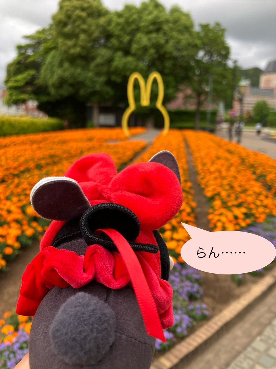 ぴょん tweet media