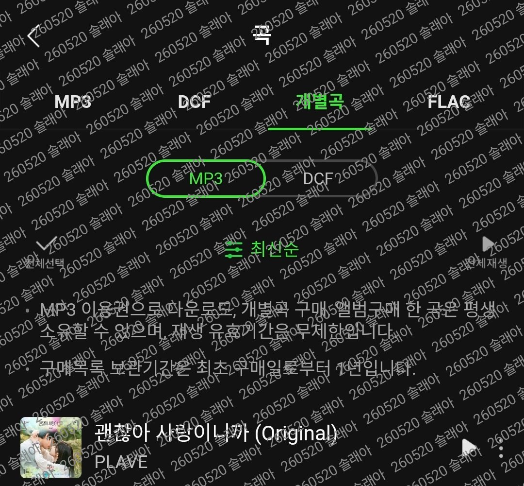 솔래아 tweet media