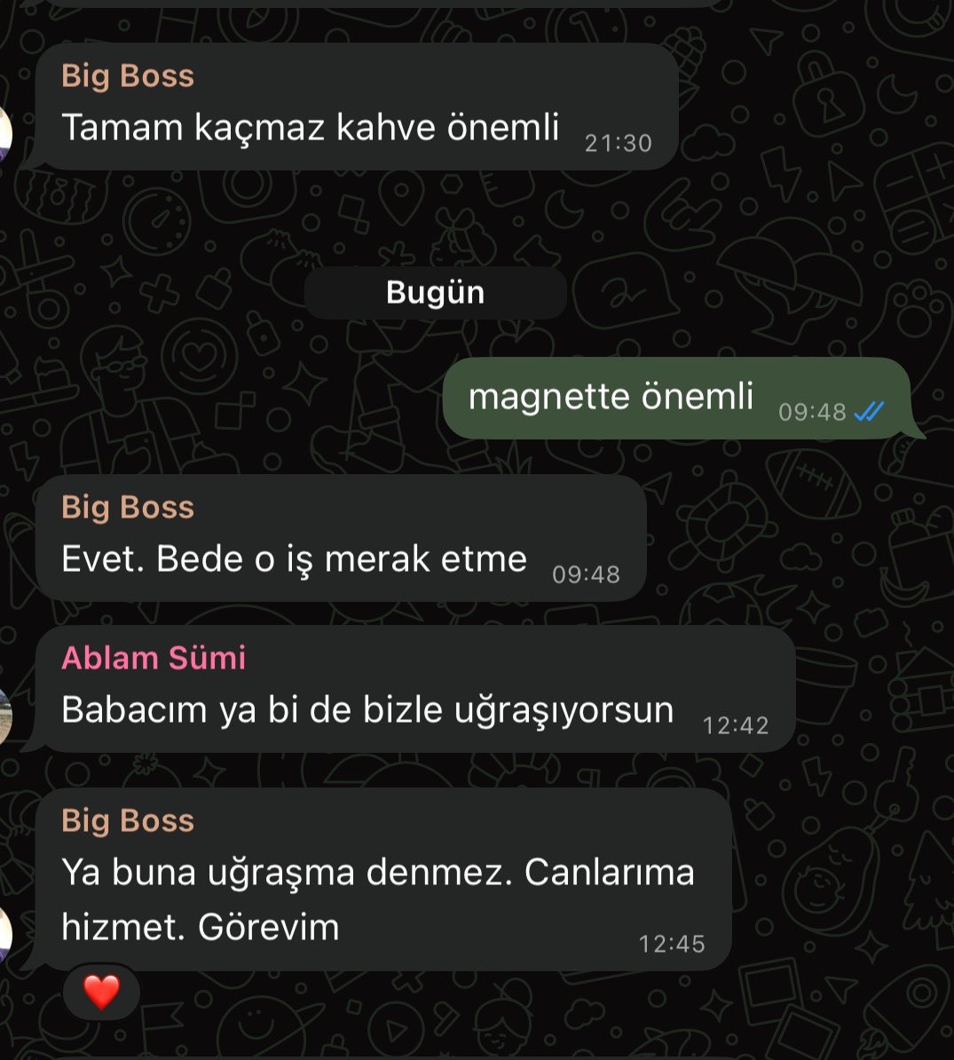 ş. tweet media
