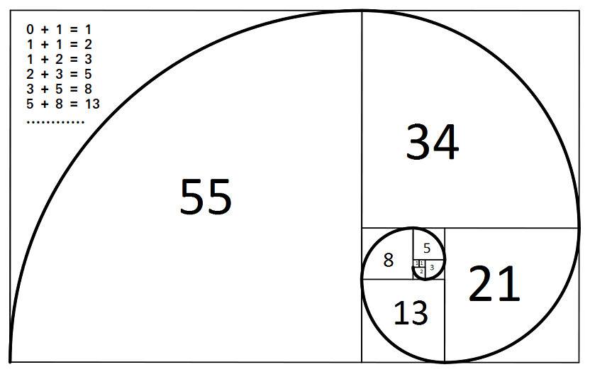 Swirling Math Math isn’t just in textbooks; it’s blooming in gardens, spiraling in ...