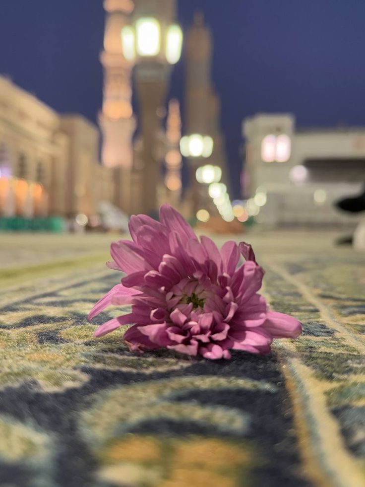 حُب 💛 tweet media