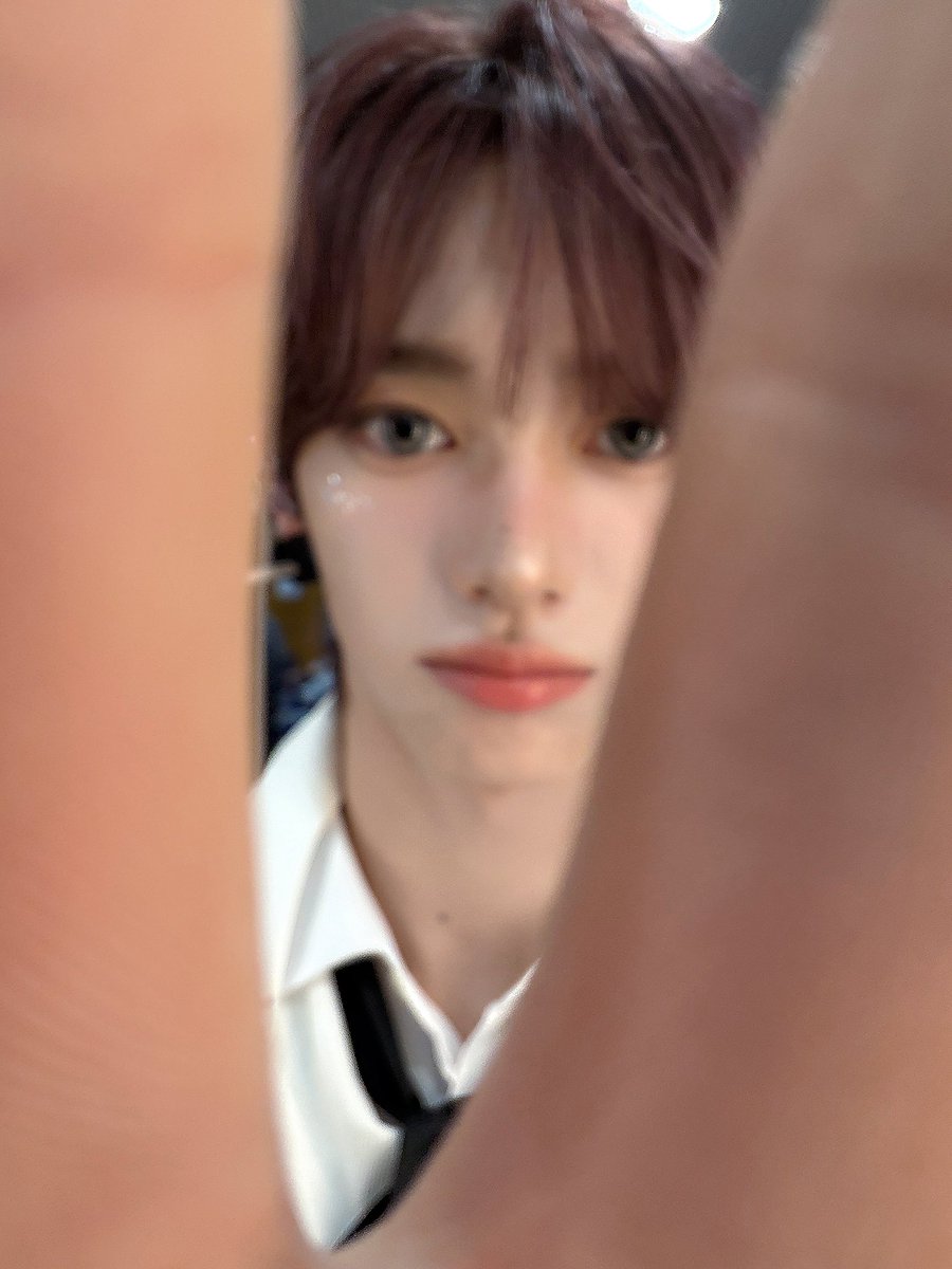 딤미첼 tweet media