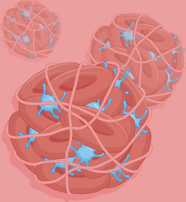 Nature Reviews Cardiology tweet media