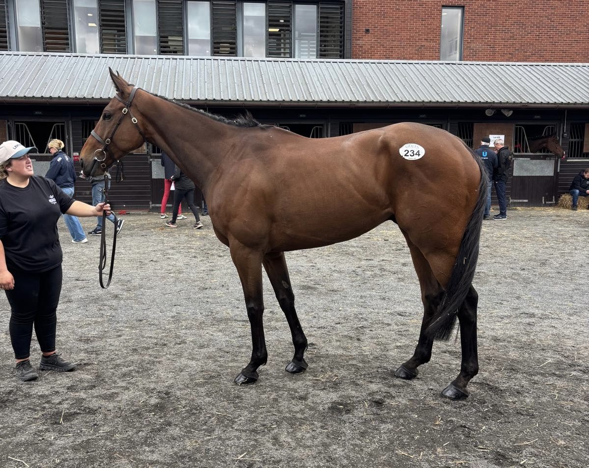Gordon Elliott tweet media