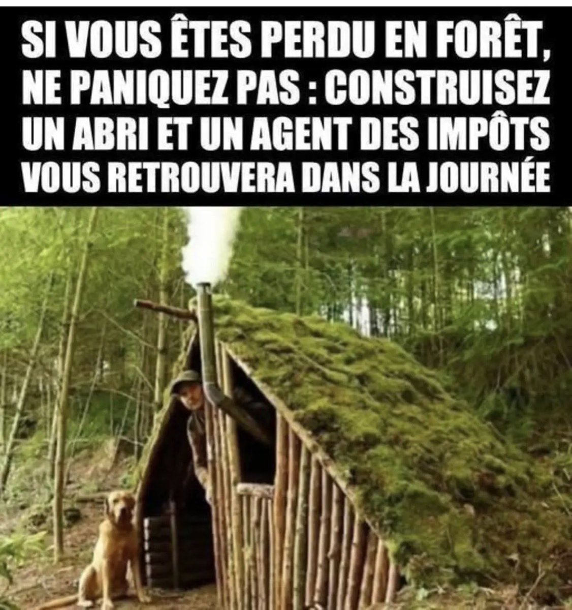 Paradis tweet media