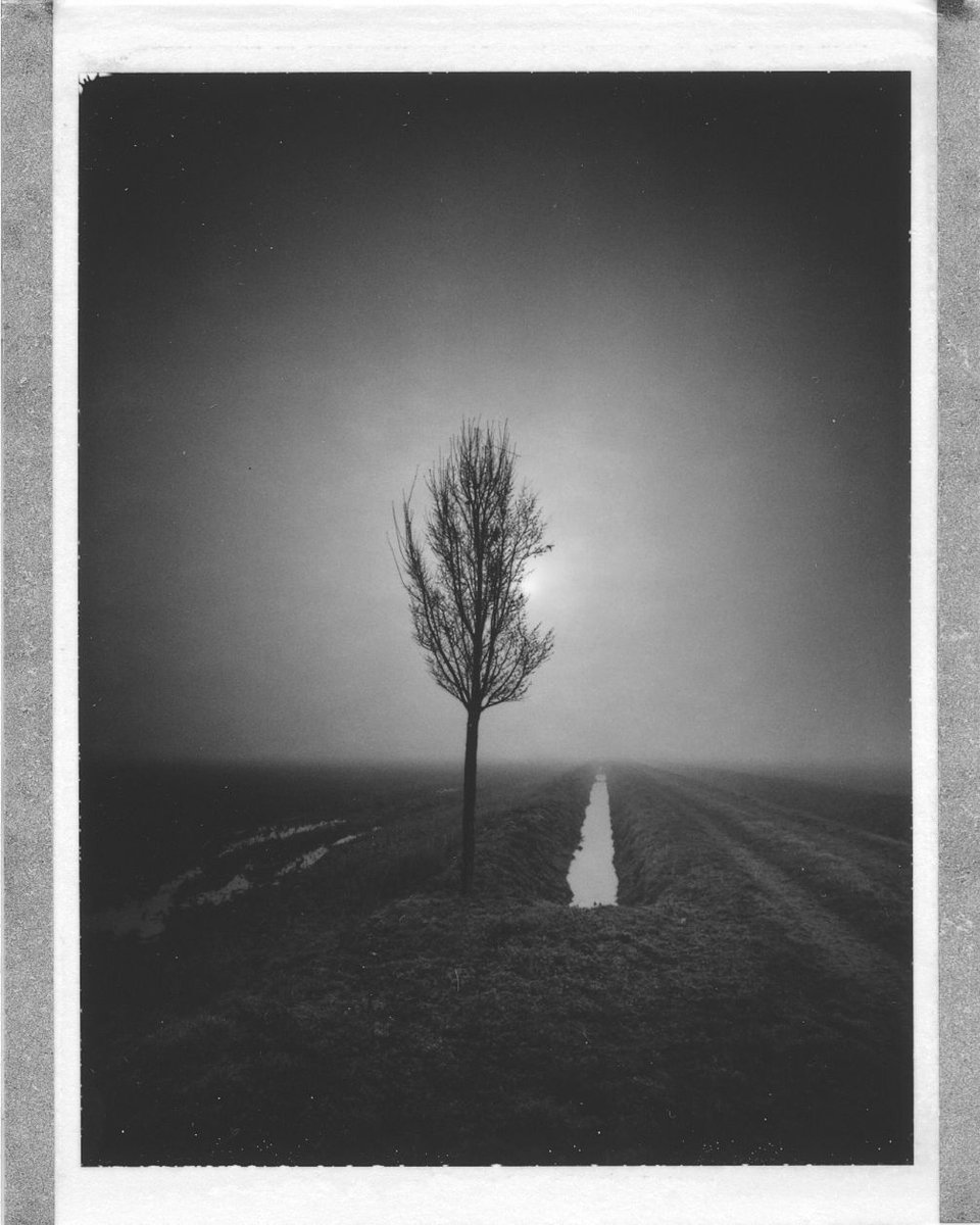 artlimitednet's tweet photo. I, the sun, the water, the earth and the air by Pierre Pellegrini https://t.co/n5OWhLBQjx
#filmphotography #photography #fineartphotography #analogforever #landscape #fineartlandscape #bnw_perfection #monoart #film #slowshutter #slowshutterspeed #blackwhite… https://t.co/1R8rJwdefD
