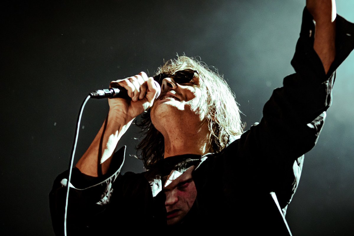 hourly swarm gerard tweet media