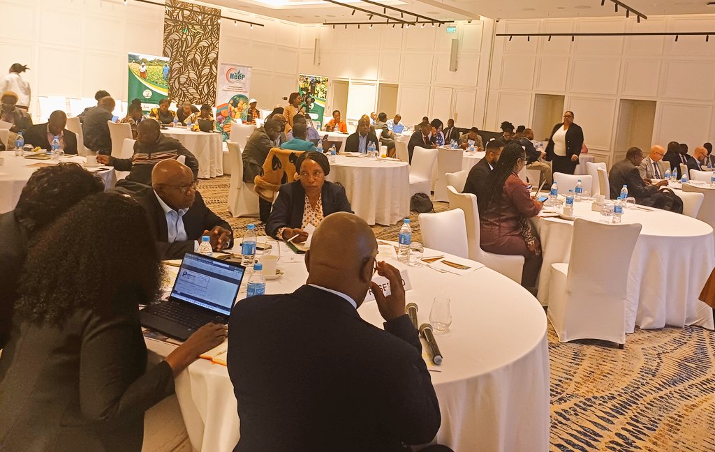 UN Zimbabwe tweet media