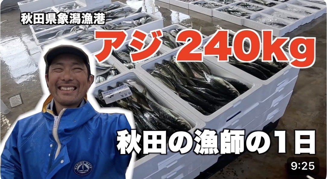 umibedessk's tweet photo. 小型定置の網起こしをしたら、アジが240kg入ってた。

大漁の日はやっぱり嬉しい。
途中、メタルジグに食いついたサバ2匹が網に引っかかってて。
これだから海は飽きない。

前日は気配ゼロ→翌日アジ240kg｜秋田の漁師のリアル
https://t.co/SLN1NXgzGh https://t.co/Ur0kejZCdX