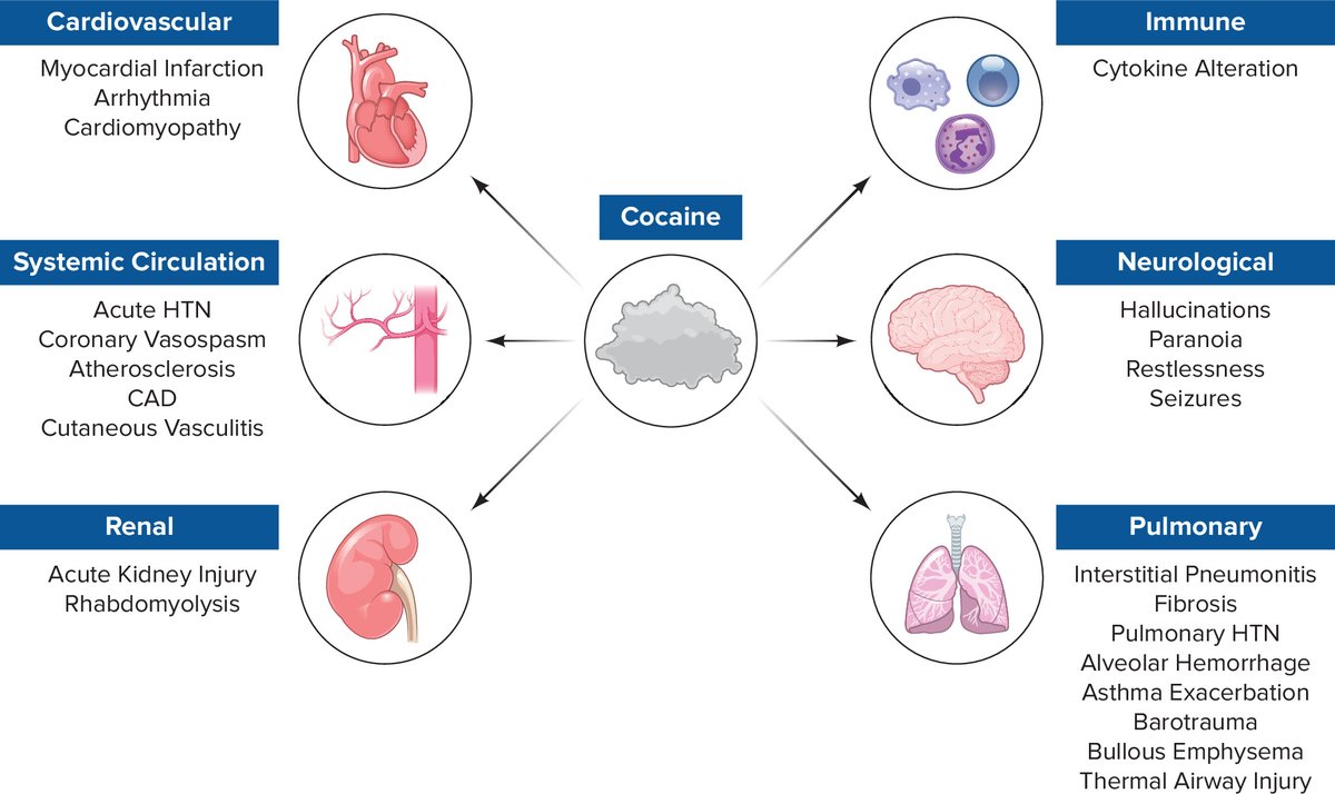 Physiology (APS Journal) tweet media