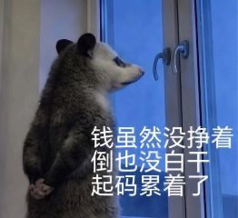 memebestbot's tweet photo. 今天520，不炒币了，多操心爱的人。 https://t.co/mn2tsRTxRg