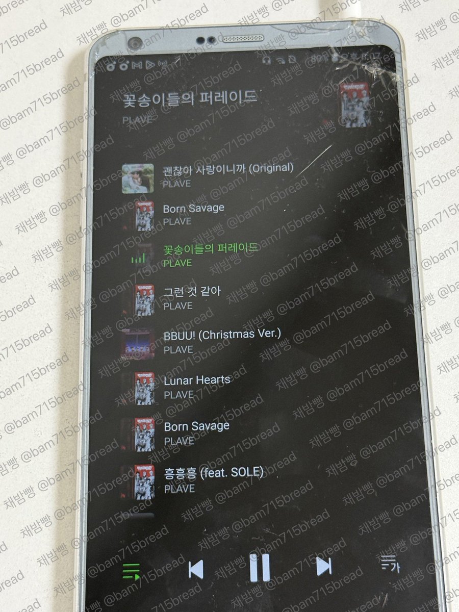 채밤빵 tweet media