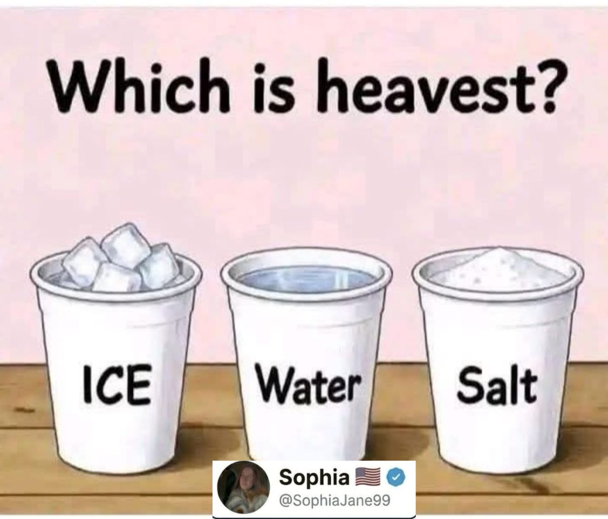Sophia🇺🇸 tweet media