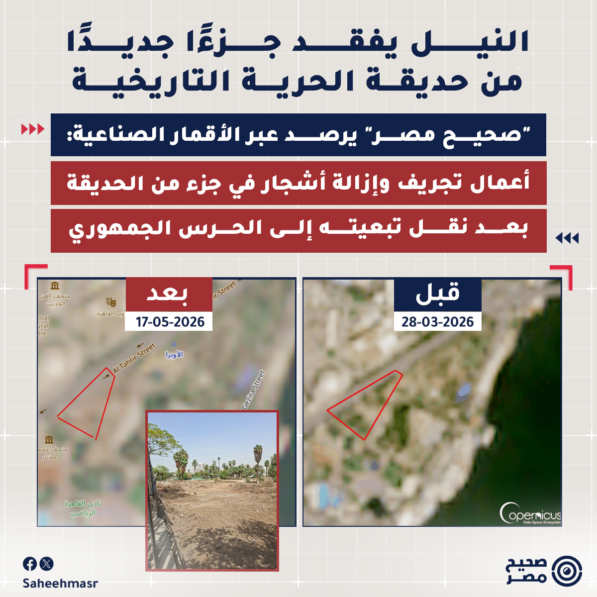 SaheehMasr's tweet photo. 🔴 في عام 1871، وخلال عهد الخديوي إسماعيل، تأسست حديقة "الحرية" على ضفاف النيل بجزيرة الزمالك، ضمن مشروع أوسع لإنشاء متنفسات وبساتين خضراء، على أطراف النيل، وعرفت باسم "حديقة النيل" لقربها من النهر على طرف جزيرة الزمالك القبلى، وقد كانت من أكبر حدائق القاهرة وقتها، ولكن الحكومات المتعاقبة، بدأت في اقتطاع أجزاء منها لتأسيس نادى القاهرة، ومتحف محمود مختار، وفندق الجزيرة.

◾ومؤخرًا ظهرت صور جديدة خلال الأيام الماضية، تُظهر أعمال تجريف وإزالة للأشجار والنخيل اللتين يعود عمرهما إلى أكثر من 150 عامًا مضت، في جزء مقتطع من الحديقة مجاور لأسوار متحف محمود مختار، ونادي القاهرة، بعد نقل تبعية هذا الجزء إلى إدارة الحرس الجمهوري.

⚠️ ووثق "#صحيح_مصر" صحة أعمال التجريف والإزالة عبر رصد التغيّرات في صور الأقمار الصناعية، وقال مصدران يعملان في الحديقة أن تبعية هذا الجزء نُقلت قبل سنوات، إلى إدارة الحرس الجمهوري، وأُغلق أمام العامة، ولكن بدأت أعمال التجريف خلال الشهر الماضي، تمهيدًا للاستفادة الاستثمارية من هذا الجزء.

🔴 صور الأقمار الصناعية: التجريف بدأ في شهر أبريل

◾أجرى "#صحيح_مصر" بحثًا عبر صور الأقمار الصناعية الخاصة ببرنامج "كوبرنيكوس" التابع للاتحاد الأوروبي، ومطابقة الخرائط على أرض الواقع، أظهرت أعمال تجريف بدأت منذ شهر أبريل الماضي قبل أن تتسع في شهر مايو الجاري، بحسب أحدث الصور المنشورة يوم 17 من الشهر نفسه.

◾وأظهرت صور القمر الصناعي sentinel-2 ومؤشر الاختلاف الطبيعي للغطاء النباتي (NDVI) أن التجريف جرى في جنوب الحديقة بالفعل في المكان الواقع بينها وبين متحف محمود مختار.

◾وبيّنت المقارنة بين تاريخي 28 مارس و22 أبريل الماضي، أن عددًا من الأشجار المقابلة لدار الأوبرا قد جرى اقتلاعها كذلك.

◾كما وثق "صحيح مصر" عبر مطابقة تلك الخرائط بزيارات ميدانية للحديقة، أظهرت أن الجزء الذي تعرض للتجريف وإزالة الأشجار، موجود في نهاية جنوب الحديقة، بجوار أسوار نادي القاهرة ومتحف محمود مختار، وهما كانا جزءين أيضًا من أراضي الحديقة قديمًا.

🔴 نقل تبعية جزء من الحديقة إلى الحرس الجمهوري

◾قال مصدران يعملان في حديقة الحرية، لـ"صحيح مصر"، إن هذا الجزء الذي خضع لأعمال تجريف وإزالة الأشجار والنخيل، ملاصق تمامًا للحديقة ولكن لم يعد يتبعها إداريًا، وهو مجاور لمتحف محمود مختار بجوار نادي القاهرة.

◾إذ حصل سلاح الحرس الجمهوري على تلك الأرض من محافظة القاهرة قبل سنوات، بحسب ما ذكره أحد المصدرين، وبعدما ظلت مغلقة لفترة طويلة؛ ويسعى حاليًا لاستغلالها في أنشطة اقتصادية لصالحه.

◾فيما قال مصدر في إدارة الحدائق المتخصصة بمحافظة القاهرة، والتابع لها حديقة الحرية، لـ"#صحيح_مصر" أنه لا تجري حاليًا أي أعمال إزالة أو تجريف جديدة داخل نطاق الحديقة؛ قائلًا "معنديش أي تجريف في أي حديقة في القاهرة، داخل حديقة الحرية فيها مكان للكافتيريات مفهوش مسطح أخضر، لكن مفيش فكرة تجريف أو أعمال جارية".

◾وأشار إلى أن أعمال التجريف التي تجري في المنطقة المجاورة لنادي القاهرة ومتحف محمود مختار، تجري في جزء لم يعد تابع للحديقة بأي شكل من الأشكال، ولكن نقلت تبعيته قبل سنوات إلى الحرس الجمهوري، ولم يعد يتبع إدارة الحدائق بمحافظة القاهرة.

◾وأشار المصدر أن الأعمال الجارية جزء من محاولة الاستفادة الاستثمارية من الأراضي التابعة للقوات المسلحة.

🔴 جزء من الذاكرة الحضارية للقاهرة الحديثة

◾تكتسب حديقة الحرية أهميتها من كونها جزءًا من الذاكرة الحضارية للقاهرة الحديثة. فالمكان يُصنَّف ضمن الحدائق ذات الطابع التراثي، كما ارتبط عبر سنوات طويلة بوجود تماثيل ونماذج فنية داخل أرجائه أو في محيطه، ما أكسبه طابعًا ثقافيًا.

◾إذ تضم مجموعتين من التماثيل، المجموعة الأولى تضم تمثال الشاعرين أحمد شوقي وحافظ إبراهيم، وطلعت حرب المؤسس الأول للاقتصاد المصري، والفريق عبد المنعم رياض رئيس أركان الجيش المصري، والذي استشهد في ساحة القتال. أما الشق الثاني من المجموعة فيوجد بها رمز للصداقة المصري الأرميني، والذي وضع في عام 2007 لتأصيل العلاقات التاريخية بين البلدين.

◾ولهذا ظلت الحديقة مقصدًا للعائلات والزائرين والمهتمين بتاريخ القاهرة، خاصة مع قربها من مركز الفنون والثقافة في منطقة الأوبرا. وشهدت الحديقة أعمال تطوير وإعادة افتتاح في عام 2001، أبرزت هذا الطابع التاريخي.

◾أما من الناحية النباتية، تتميز الحديقة بغطاء شجري قديم نسبيًا، توجد فيها أشجار زينة وظل من بينها الفيكس والأكاسيا، إلى جانب النخيل الذي يعود للعهد الملكي، وبعض الأشجار الكبيرة المعمرة التي ساعدت على تكوين ظل كثيف وممرات مريحة للزائرين؛ ما جعل الحديقة تحافظ على مكانتها بوصفها متنفسًا هادئًا داخل النسيج العمراني المزدحم للزمالك.

◾وفي أكتوبر من العام الماضي، أعلنت الحكومة الانتهاء من أعمال تطوير الحديقة وافتتاحها. وسبق وقالت منال عوض، وزيرة التنمية المحلية والقائمة بأعمال وزير البيئة آنذاك، خلال افتتاح الحديقة العام الماضي بعد تطويرها، أن التطوير شمل "زراعة أكثر من 1600 شجرة جديدة من الأنواع الملائمة للبيئة المصرية، وتنسيق المسطحات الخضراء والممرات والمجاري المائية لتشكل لوحة بصرية متكاملة". وأكدت حينها أن أعمال التطوير حافظت على جميع الأشجار والنباتات النادرة والتراثيّة الموجودة بالحديقة.

#صحيح_مصر
📨 لو عندك تصريح، خبر، بوست أو تغريدة عايز تتأكد من دقته ومدى صحته.. فريق صحيح مصر على استعداد لتلقي رسائلكم واستفساراتكم عن أي معلومة مشكوك في صحتها، عبر رسائل الصفحة أو على الايميل info@saheeh.news