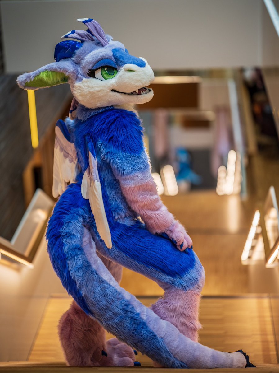 EmilyCreative 🔜 Cesfur, EF tweet media