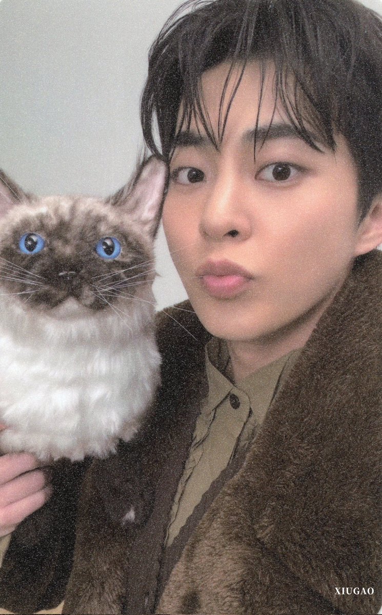 _xiu_bobo tweet media