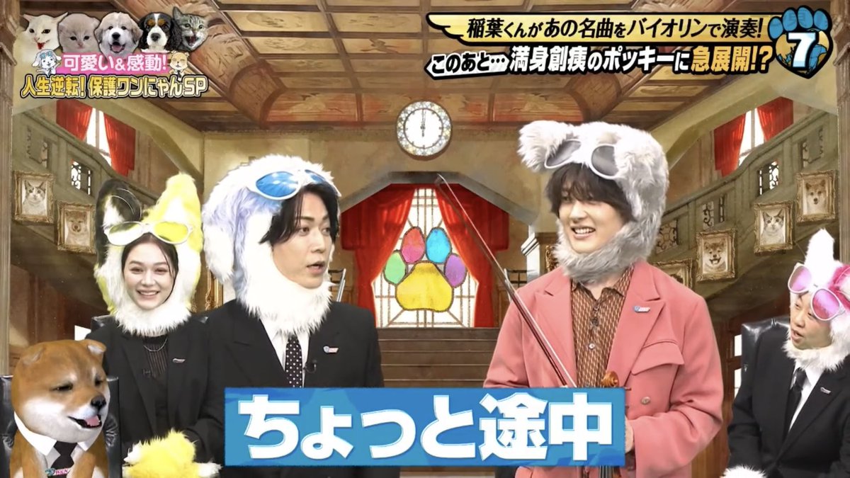ほの tweet media