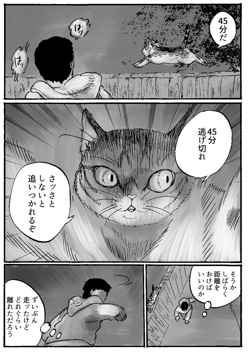 八丸真幸/Hachimaru Masaki tweet media