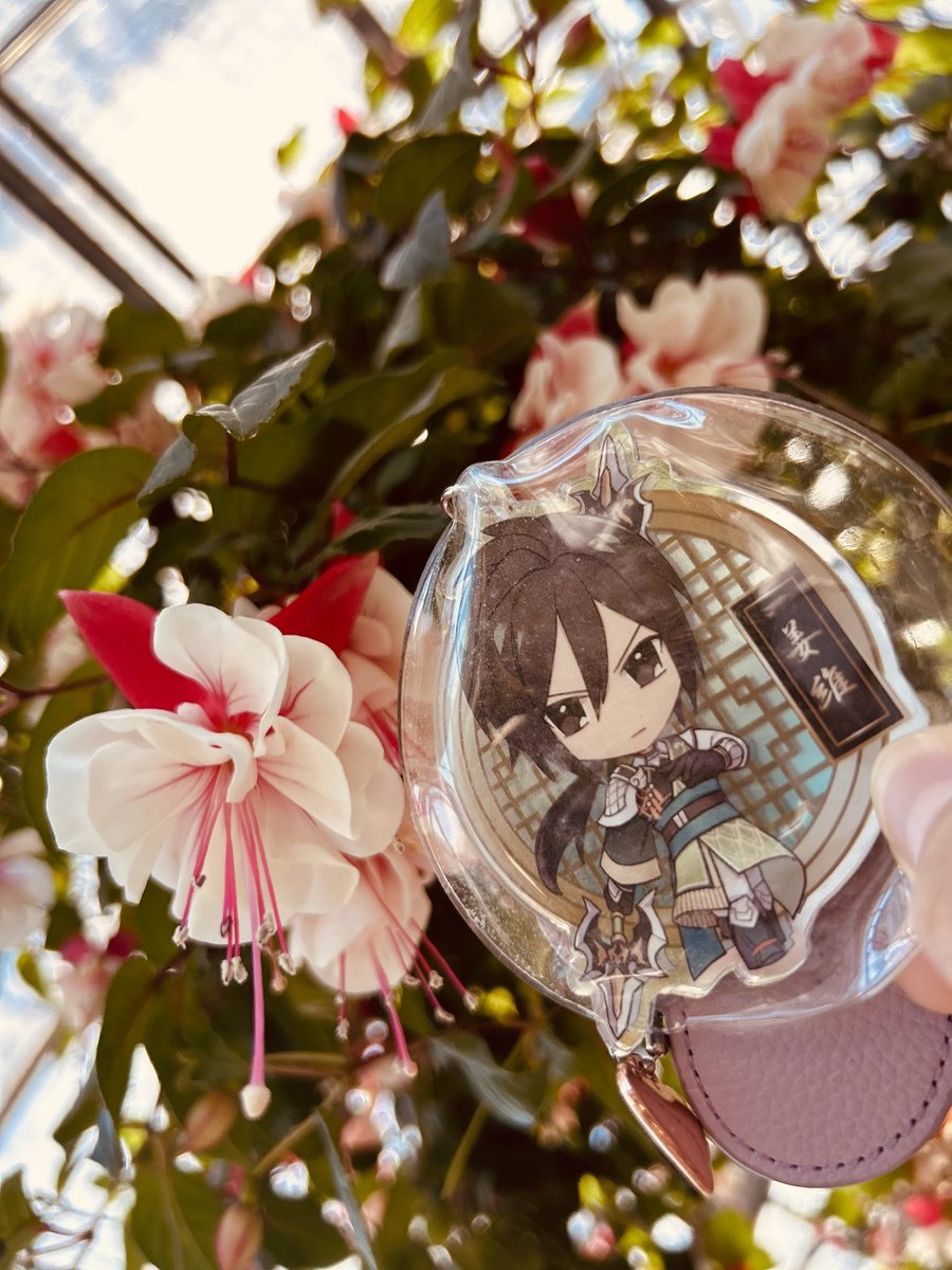 🍀白兎🍀 tweet media