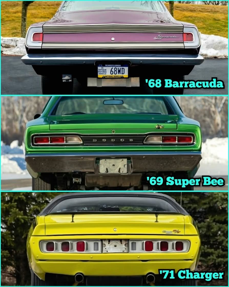 Classic Car Logic tweet media