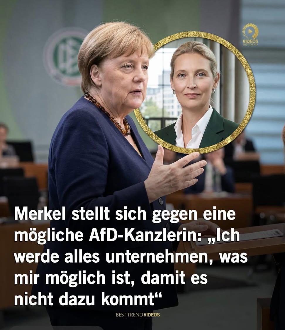 Mel Aura tweet media